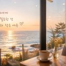 바다와여행 | 부산 달맞이고개 여행 후기｜바다와 감성이 함께 머무는 힐링 산책 코스