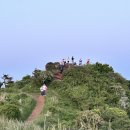 안덕면 감산리 346-1 이미지