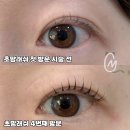 초망래쉬 | 내 속눈썹에 진심인 속눈썹펌샵 광주속눈썹펌맛집 초망래쉬