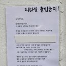 토마(TOMA) 이미지