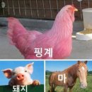 소소하루