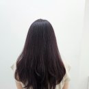 남성컷트본