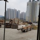 센띠에로 이미지