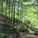 어침이공원 화장실 이미지