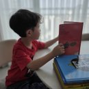 사고력연산짱수학교습소 | 쪼꼬는 논리짱 6세전집 추천, 일주일 읽어본 솔직 후기