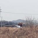 <경계에 서다> 이미지