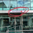 포모도로 | 홍대입구 애견동반 파스타 맛집 까사 포모도로 내돈내산 솔직후기