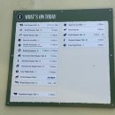 (주)세계주철지점 | [시드니 여행] 타롱가 주(Taronga Zoo) 완벽 정복! 가는 법부터 관람 꿀팁까지