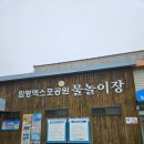 함평엑스포공원 | 전남 가성비 수영장 함평 엑스포공원 물놀이장