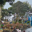 제주해양동물박물관 | 제주해양동물박물관 솔직 후기 입장료, 관람팁 총정리