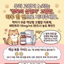 새행복약국