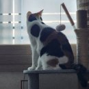 사월봄약국 | 20260304 육묘일기