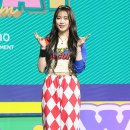 포토조아 이미지