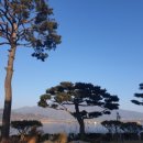 리노환경연구소