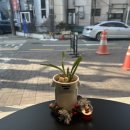 프로그커피브루어리 이미지