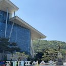 대전 허벅지살 싹빼준 지방분해주사 하프컷 내돈내산 후기
