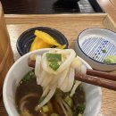 [일산] 면요리 전문점 우동 맛집 가오우동