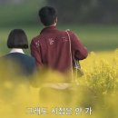 시시비비 이미지