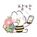 마음을 심는 원예테라피 이미지