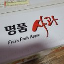 쭈니푸드 이미지