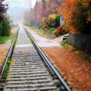 푸른산수목원 이미지