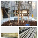 (주)계림조경자재 | 대나무지지대 판매업체 (주)계림조경자재