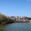 은파호수공원 이미지