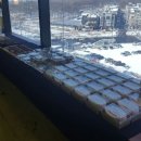 (주)코지헬스앤뷰티 이미지