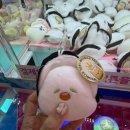 정왕뽑기방 네이버블로그