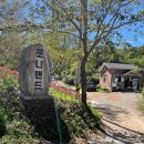 대암목장 | [울산] 말 먹이주기 체험! 울산 포니랜드 얘들아 가자~!