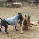 알프하우스 이미지