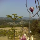 장포농장 이미지