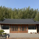 다원포레스트독채펜션 | 대구 근교여행,청도 리틀포레스트감성 독채펜션 수야스테이 내돈내산 후기