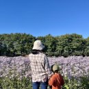 (주)서원에프엠씨지 | 10월 아이랑 안동 하회마을 탈춤축제 탈박물관 수애당 만휴당 도산서원