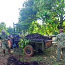 녹색자원 이미지