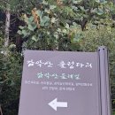 출렁다리 진입로 이미지