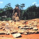 봉산 사과나무길 이미지