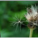 바람이불어오는곳 이미지