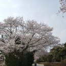 익산상떼힐cc 클럽하우스 이미지