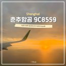 11545-04-02-38 | 중국 상하이 여행 춘추항공 9C8559 후기 기내 수하물 규정 연착 카운터