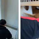 동물보육원 이미지