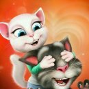 달달한 고양이 이미지