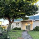 푸른신창 | 제주 한경면 신창풍차해안 애월 숙소 독채펜션 &#39;또시 인 제주 삼삼구옥&#39; 내돈내산 후기