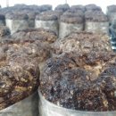 산여울농장 이미지