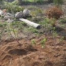 송우농장 이미지