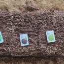 솔마1로 이미지