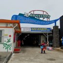 세화오일시장 이미지