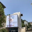 환기 미술관 관람 후기(+정연희 특별전)