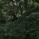 방배로25길 25-2 이미지