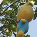 별개 | 운동은 꾸준한데 얼굴 탄력은 별개였던 덴서티 리프팅 후기